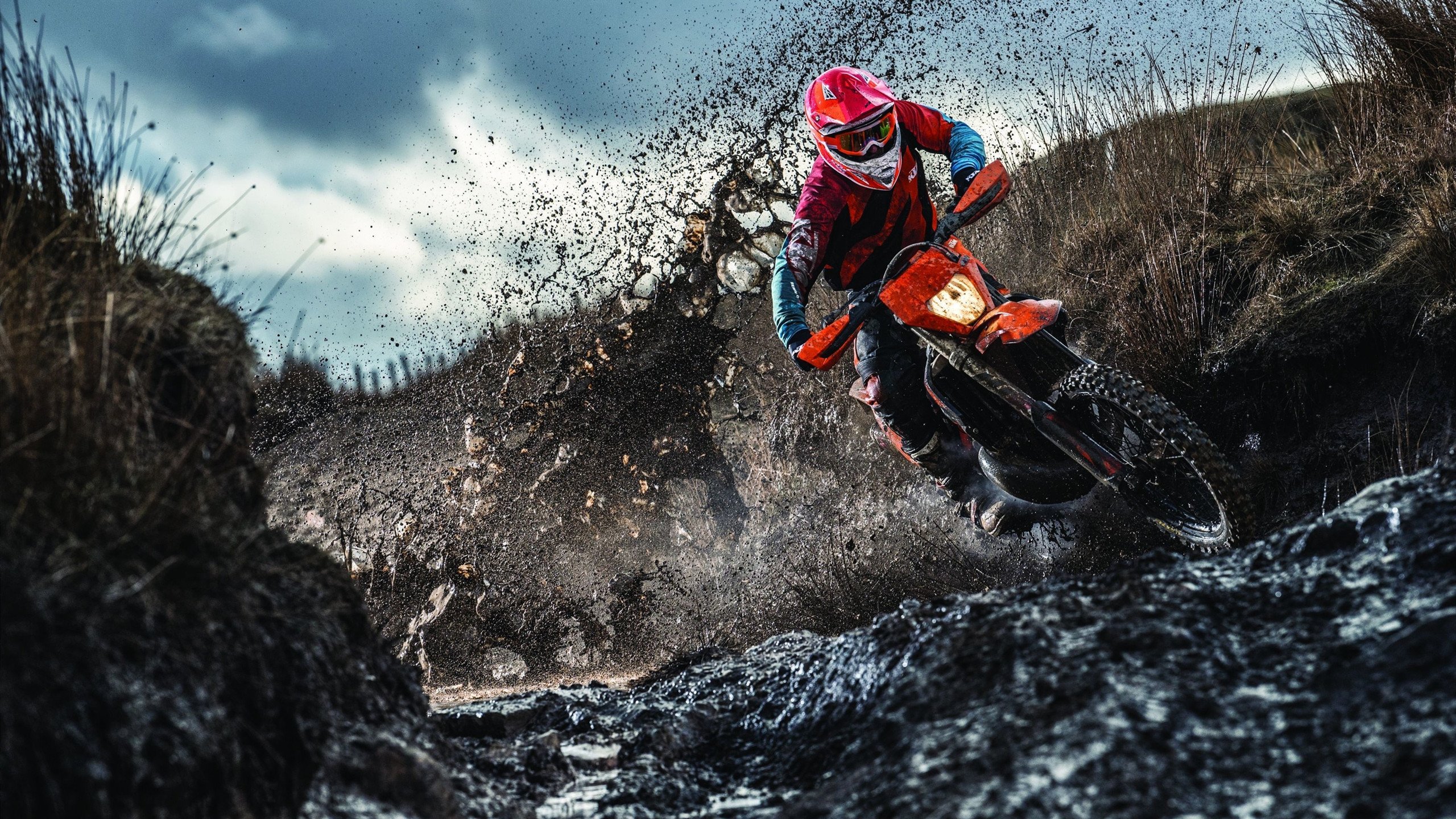 MMA正拳爆击引现场尖叫，挑战极限、震撼全场！