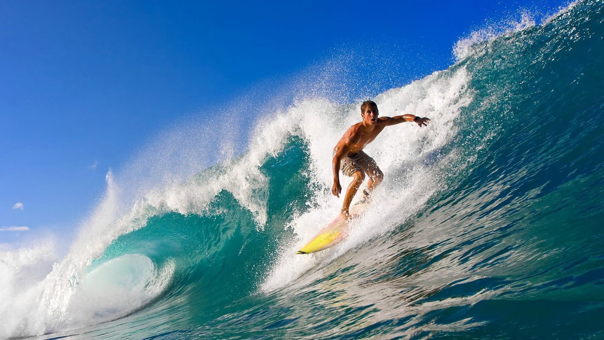 UFC米欧奇力量耐力训练全面提升——开启极限战斗力的新篇章