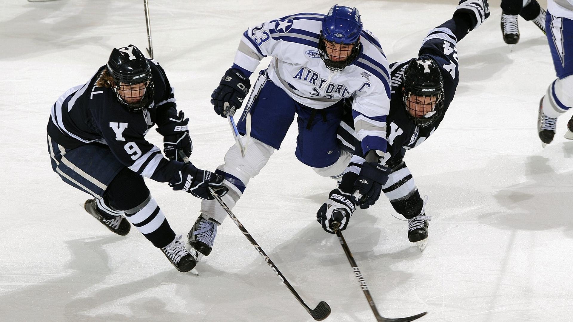 ky体育娱乐-体育教育课程体系国际化推动人才全球流动